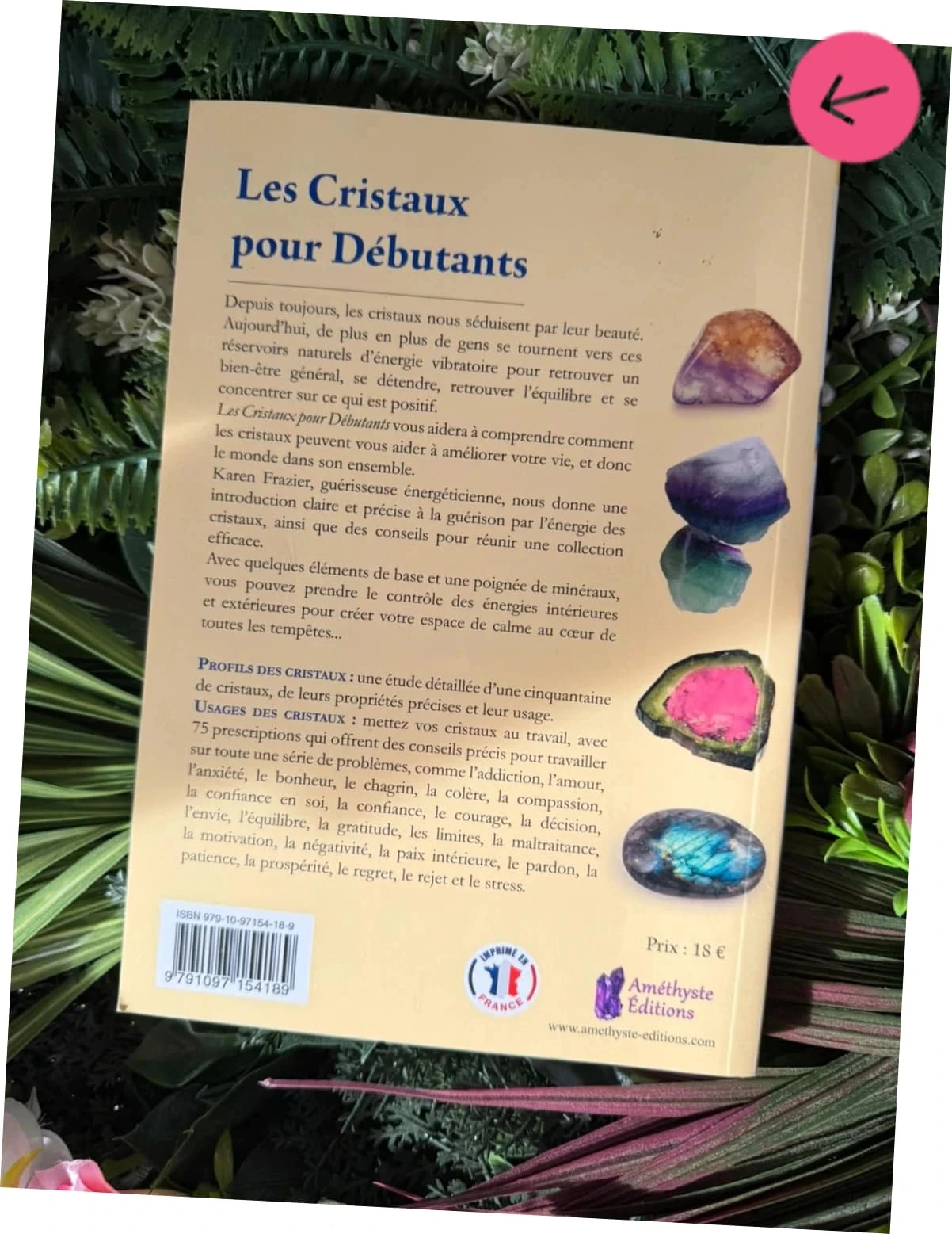 Livre les cristaux pour débutant – photo 4